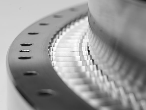 PSV TE narrow DOF BW art
